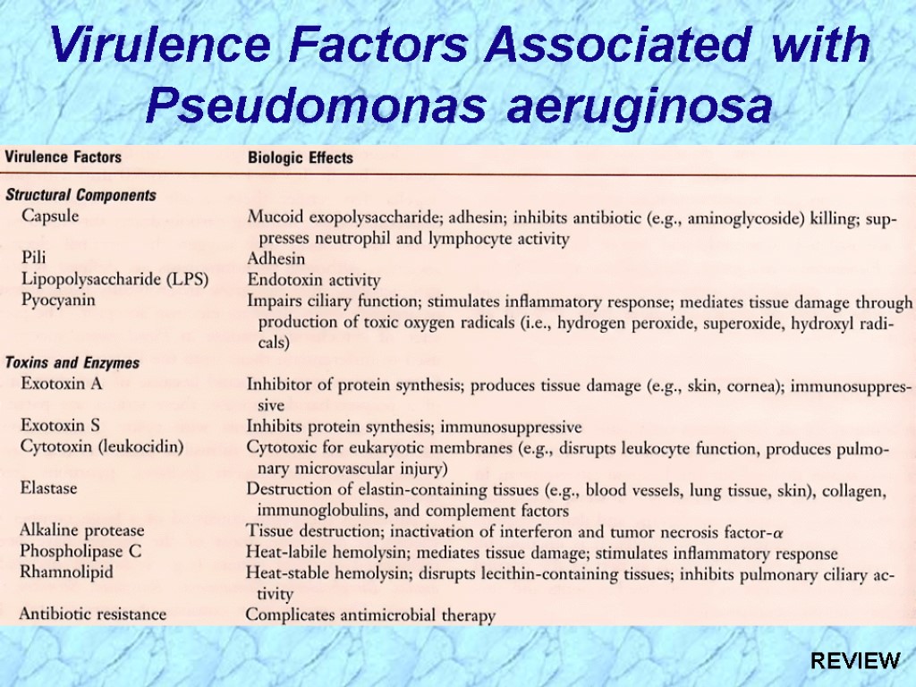 Virulence Factors Associated with Pseudomonas aeruginosa REVIEW